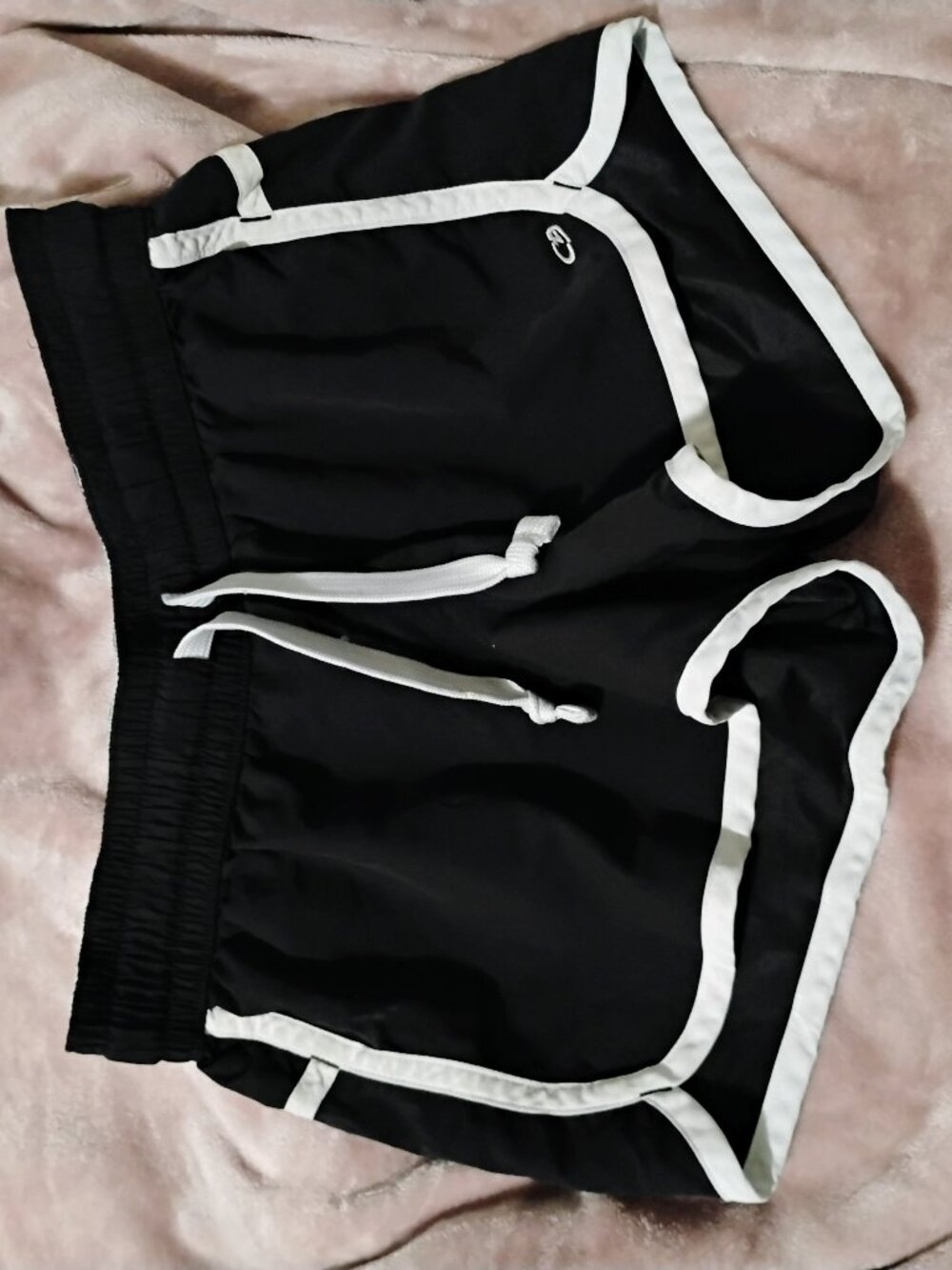 Champion Shorts